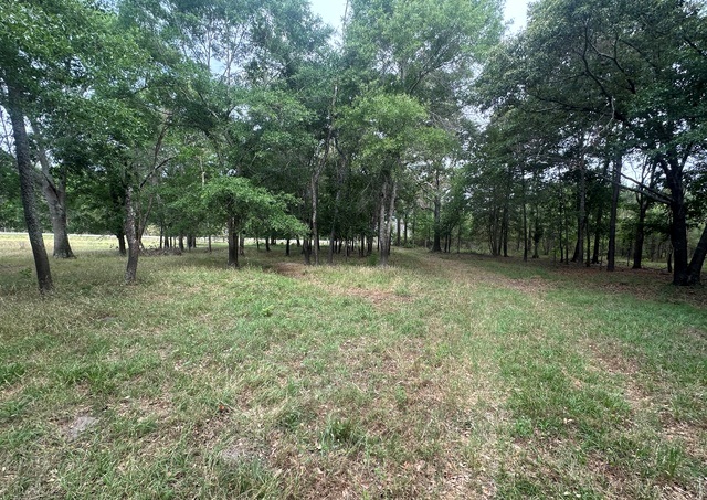 Jarrell Pond Place Photo