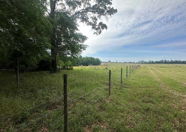 Jarrell Pond Place Photo