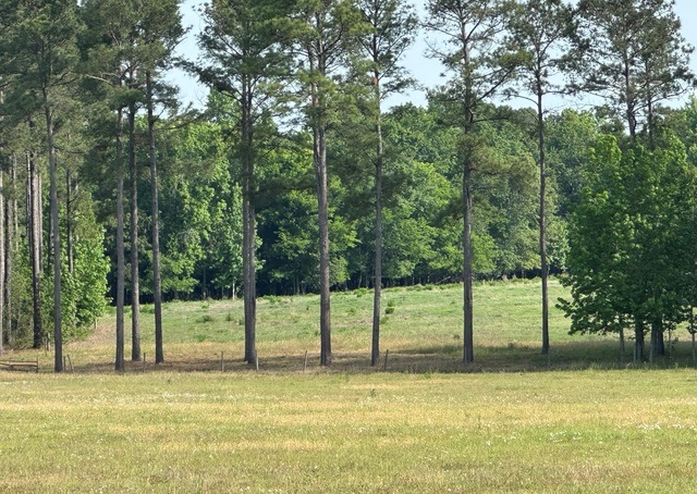 Jarrell Pond Place Photo