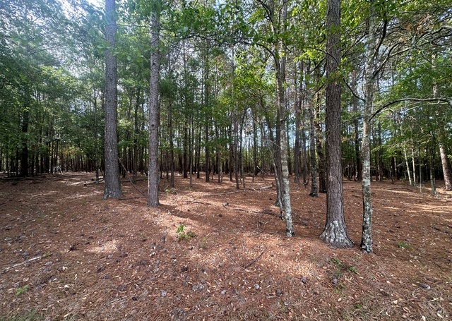 Jarrell Pond Place Photo