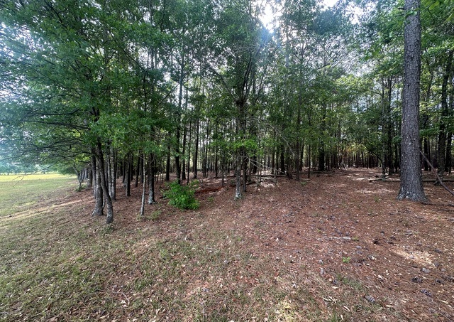 Jarrell Pond Place Photo
