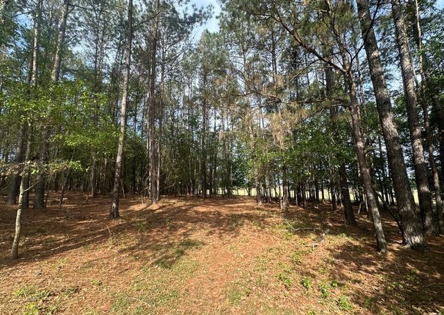 Jarrell Pond Place Photo