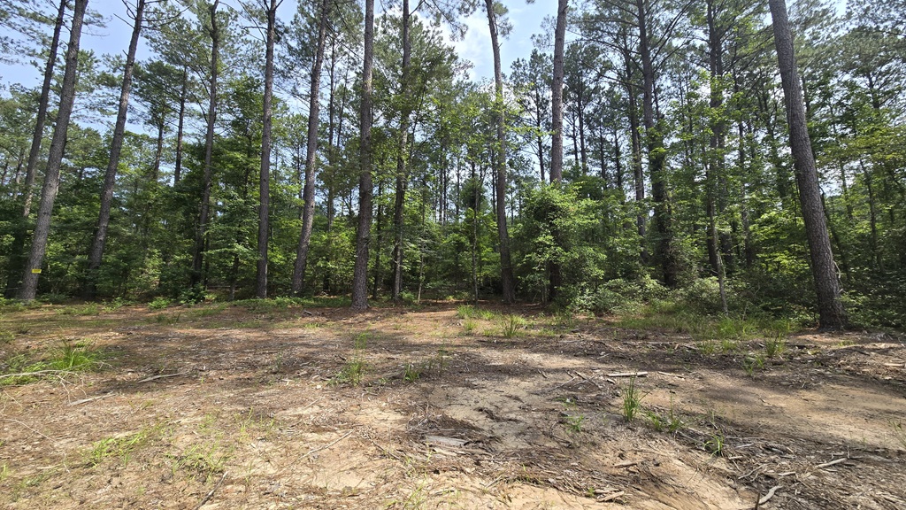 Colby Drive Photo