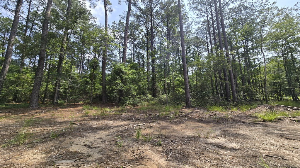 Colby Drive Photo