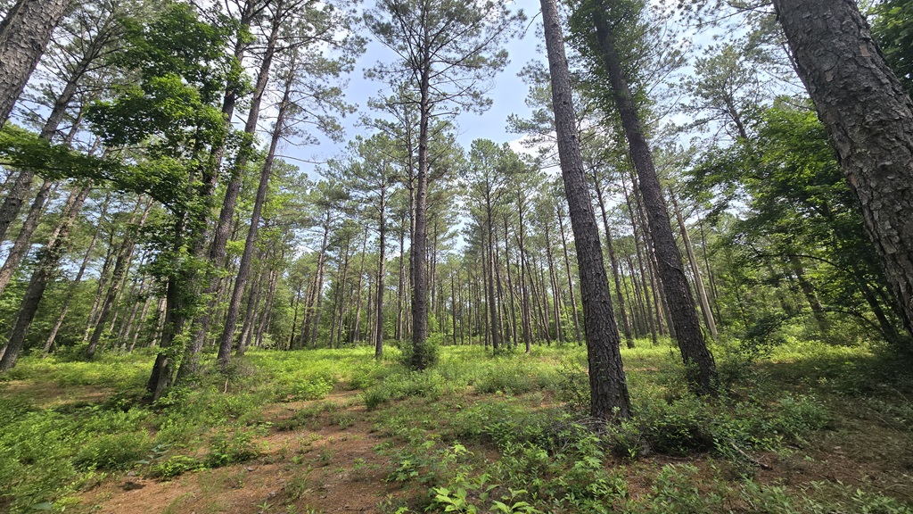 Colby Drive Photo