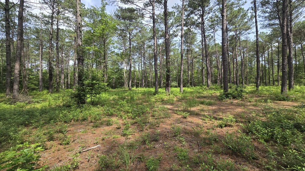 Colby Drive Photo