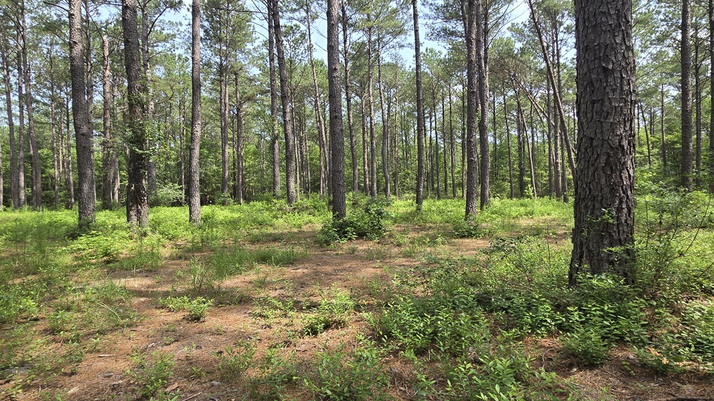 Colby Drive Photo