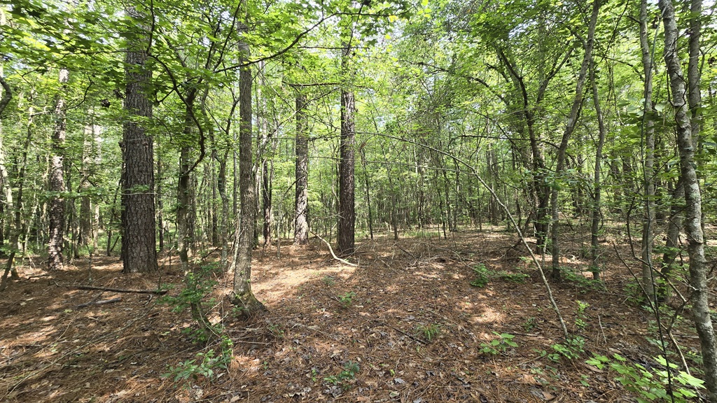 Colby Drive Photo