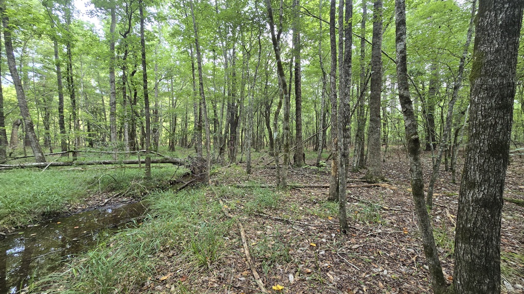 Colby Drive Photo