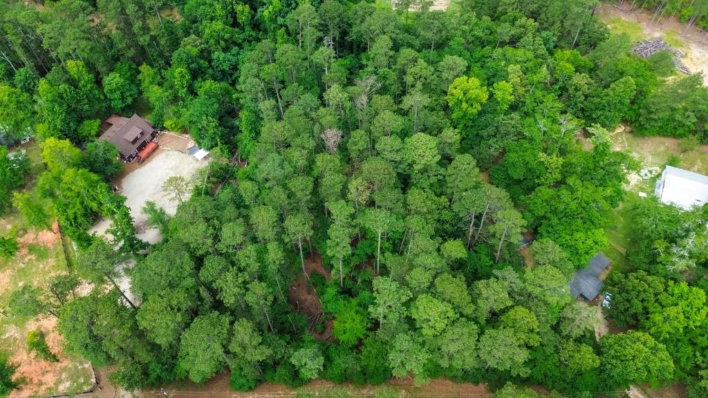 Clarks Hill Lake Lot Photo