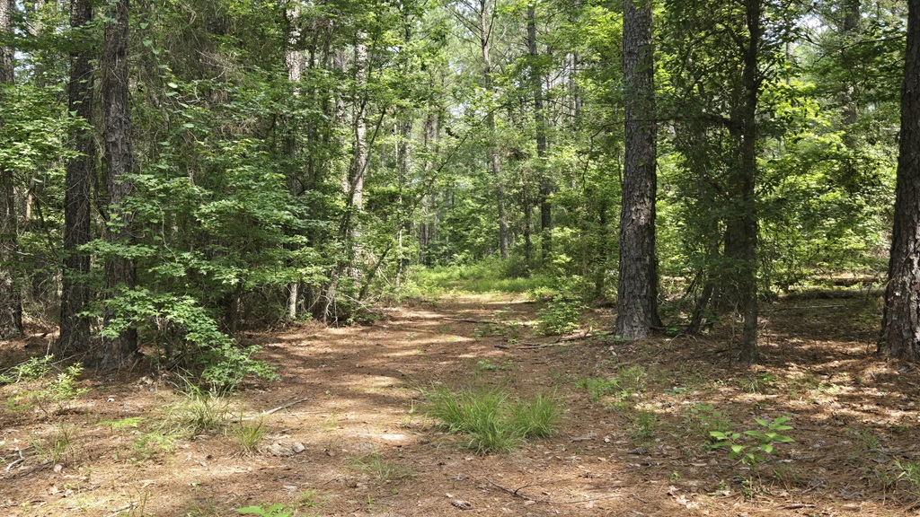 Colby Drive Photo