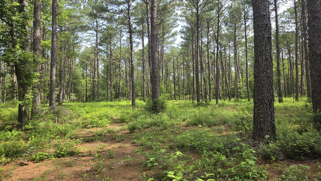 Colby Drive Photo