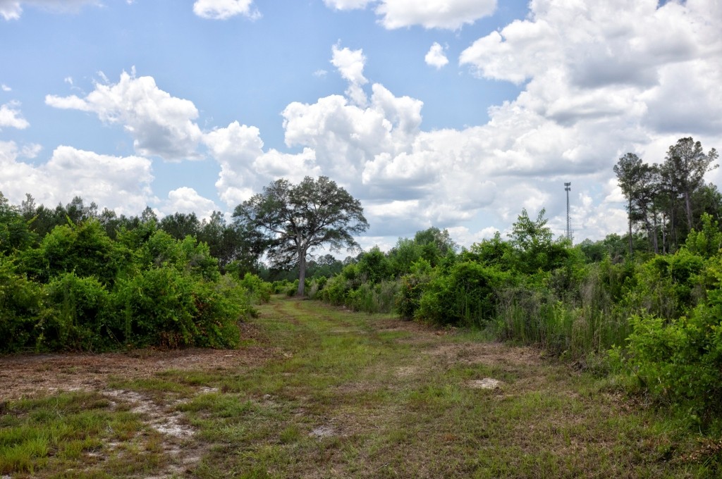 Pembroke Pines Photo