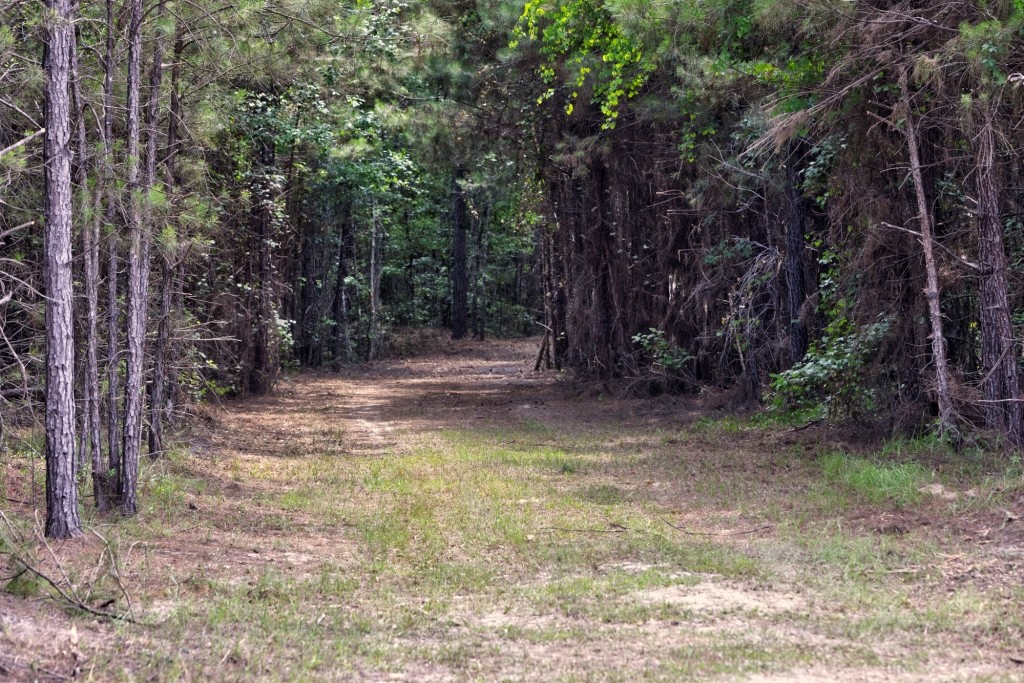 Pembroke Pines Photo
