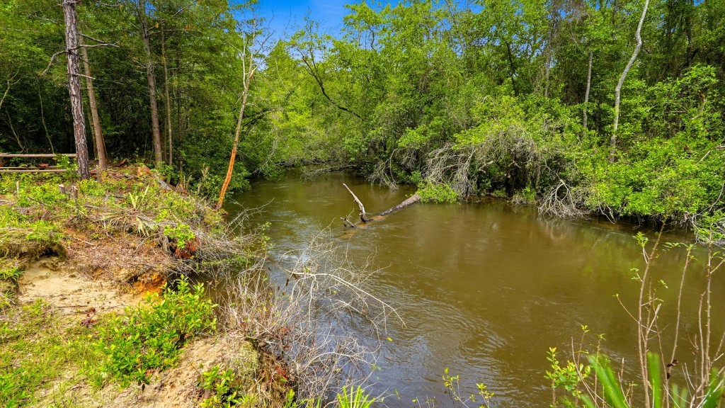 Whitewater Ridge Photo