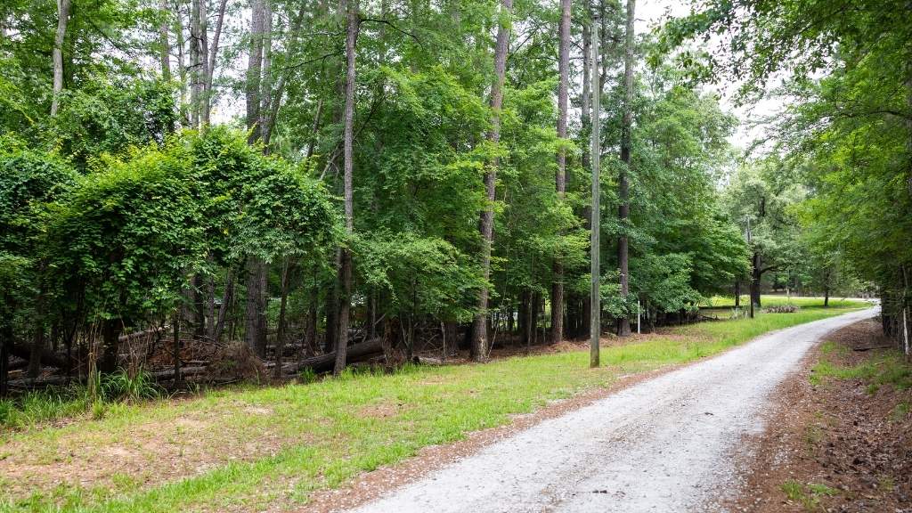 Clarks Hill Lake Lot Photo