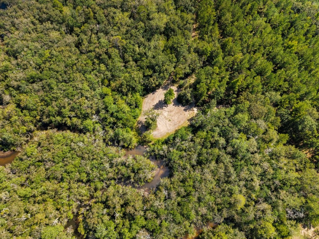 Whitewater Ridge Photo