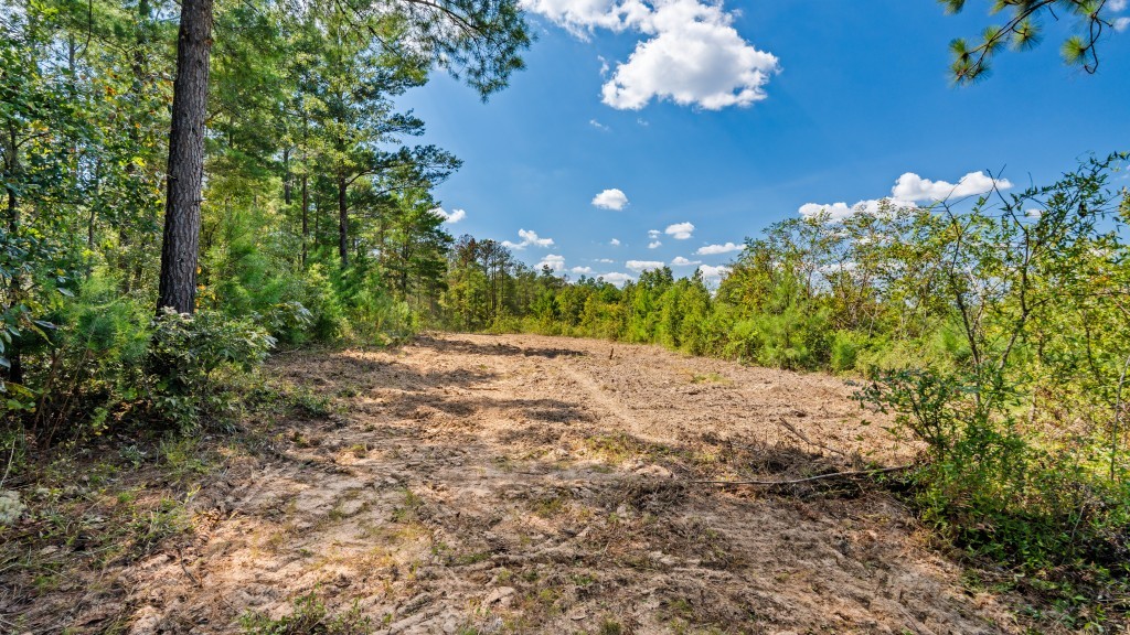 Whitewater Ridge Photo