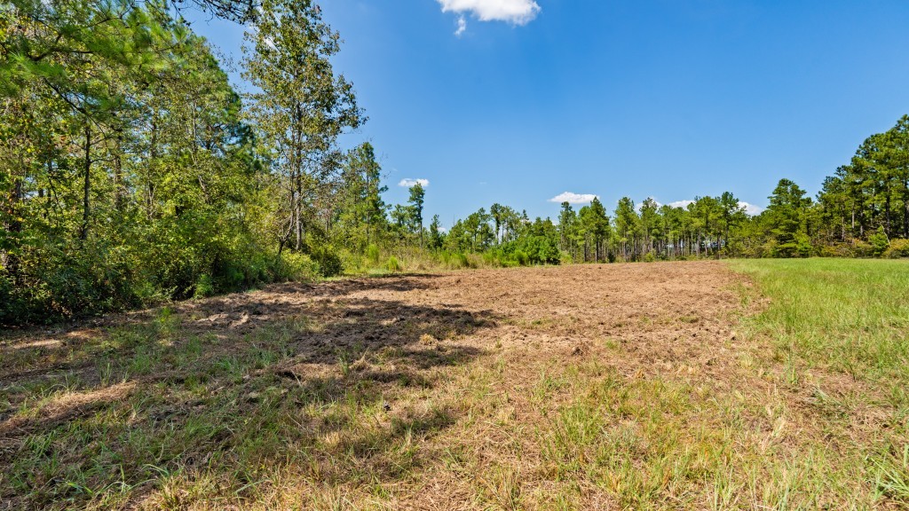 Whitewater Ridge Photo