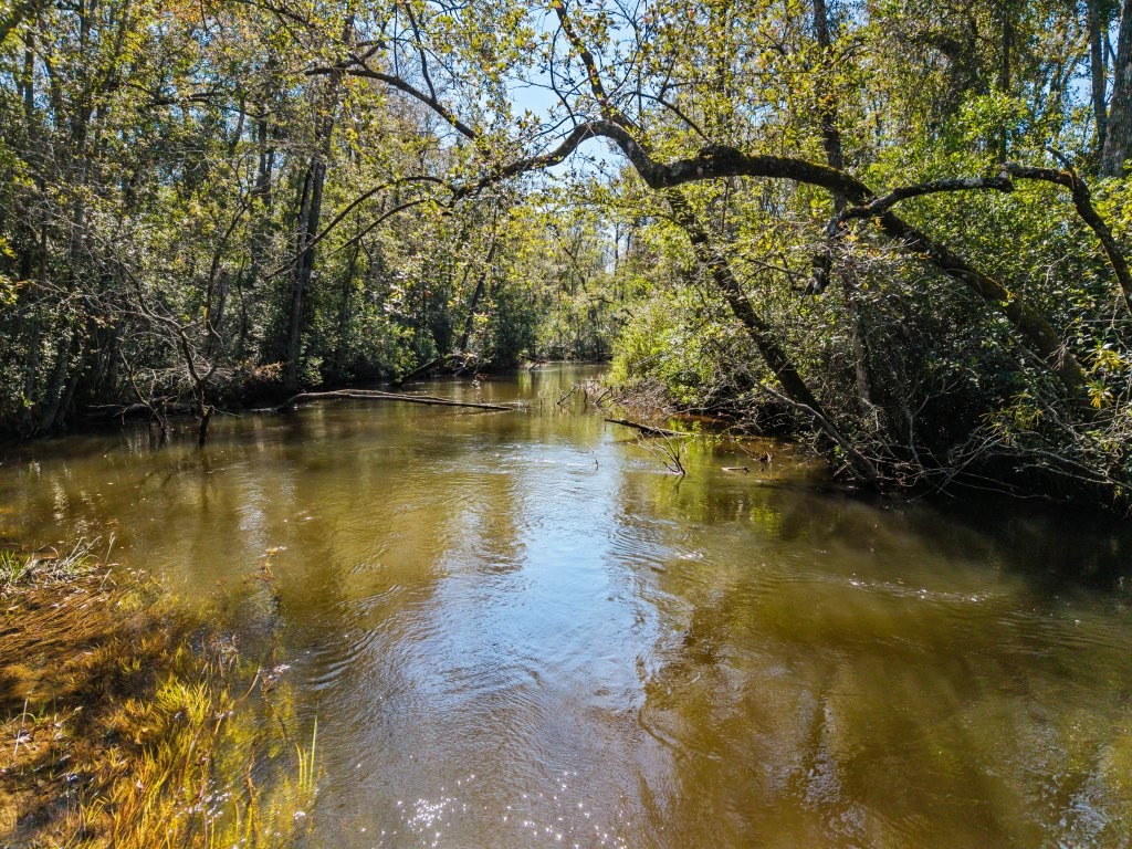 Whitewater Ridge Photo