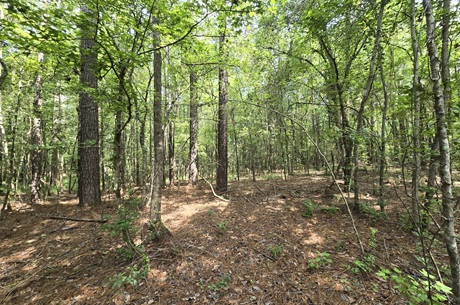 Colby Drive