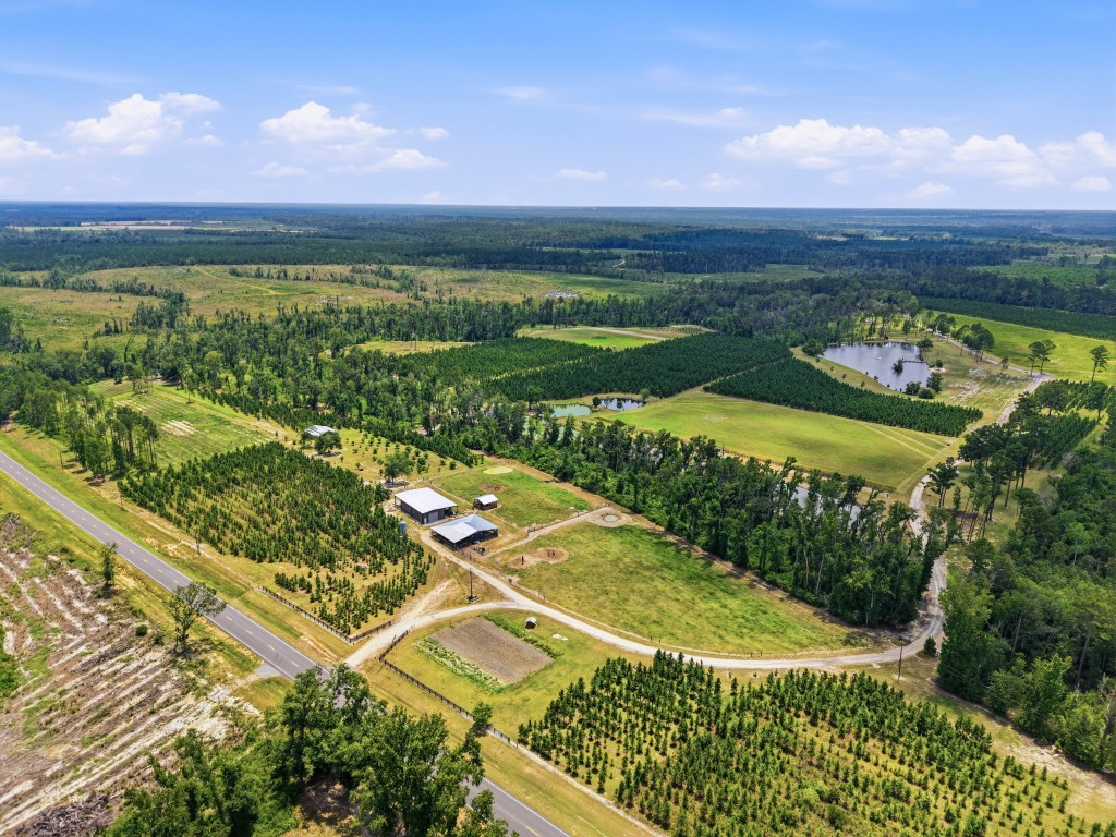 Lotts Creek Lodge Photo