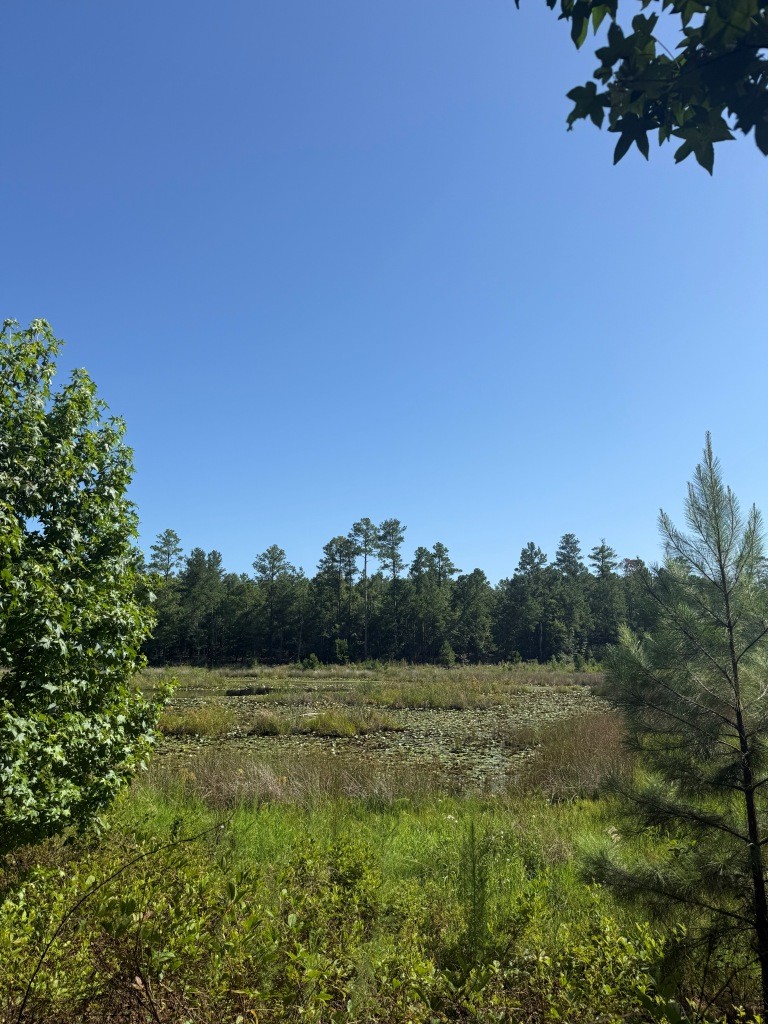 Sassertown Road Retreat Photo