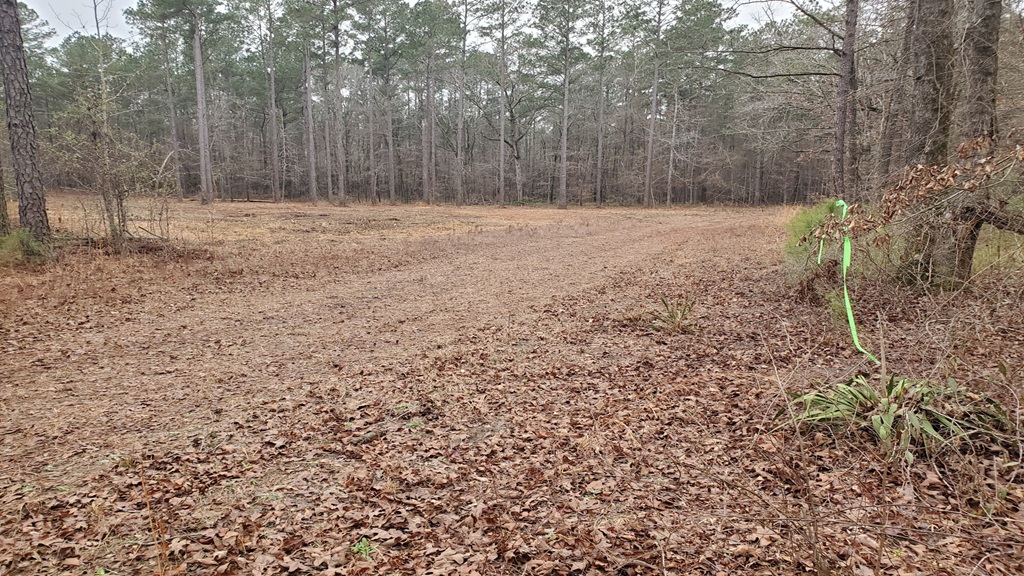 Bluewater Ridge Photo