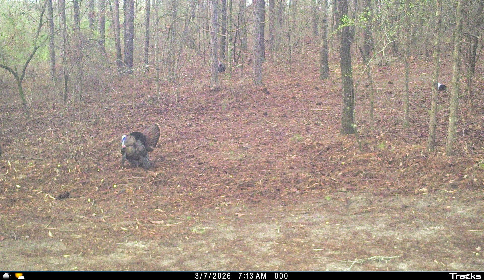 Bluewater Ridge Photo