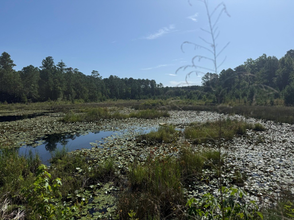 Sassertown Road Retreat Photo