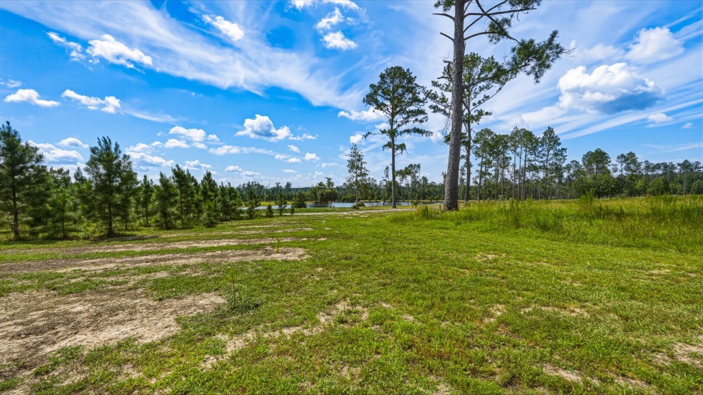 Lotts Creek Lodge Photo