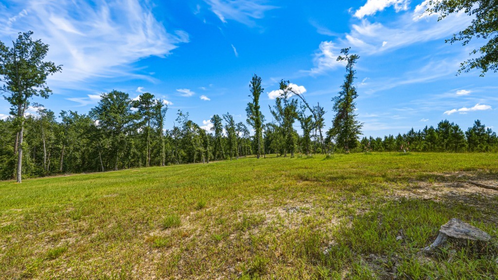 Lotts Creek Lodge Photo