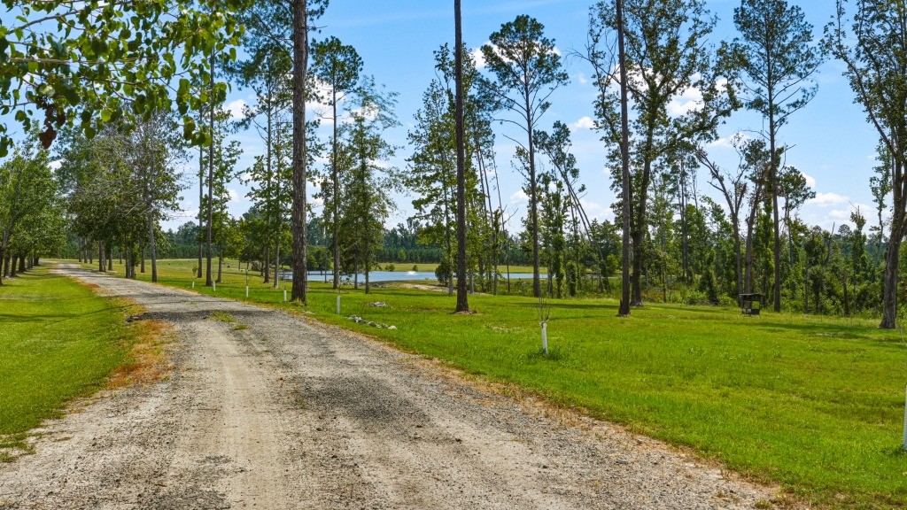 Lotts Creek Lodge Photo