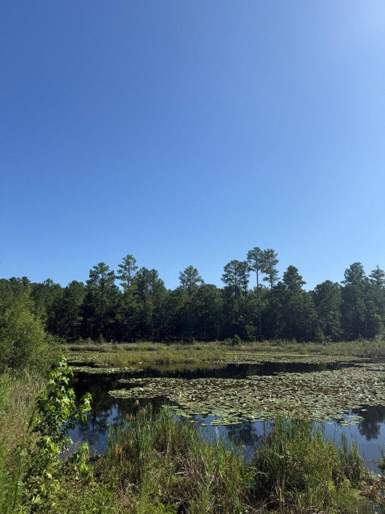 Sassertown Road Retreat Photo