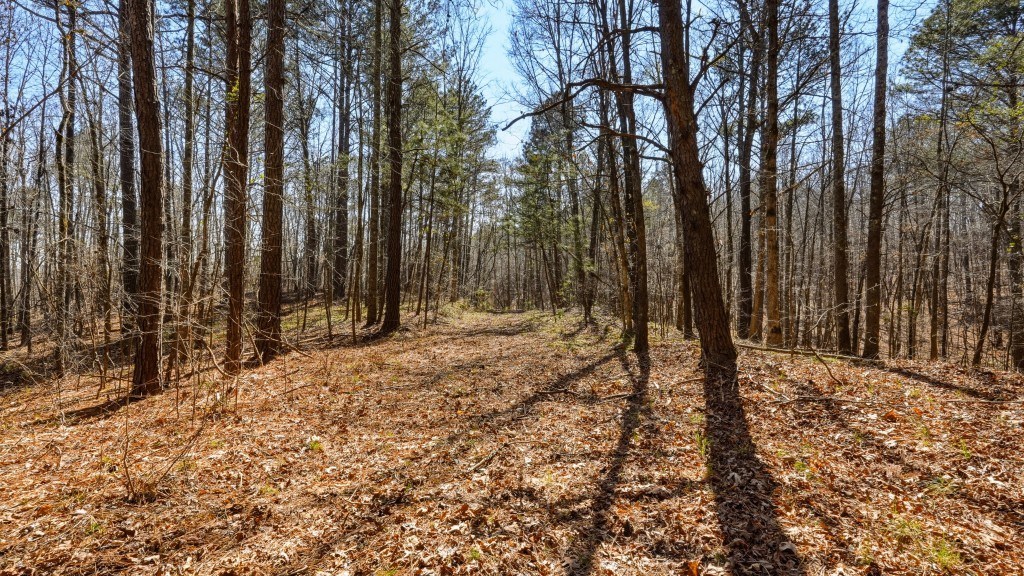 Etowah River Homeplace Photo