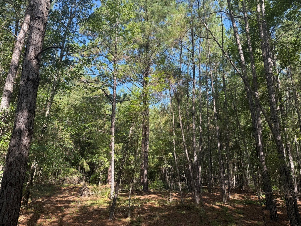 Sassertown Road Retreat Photo