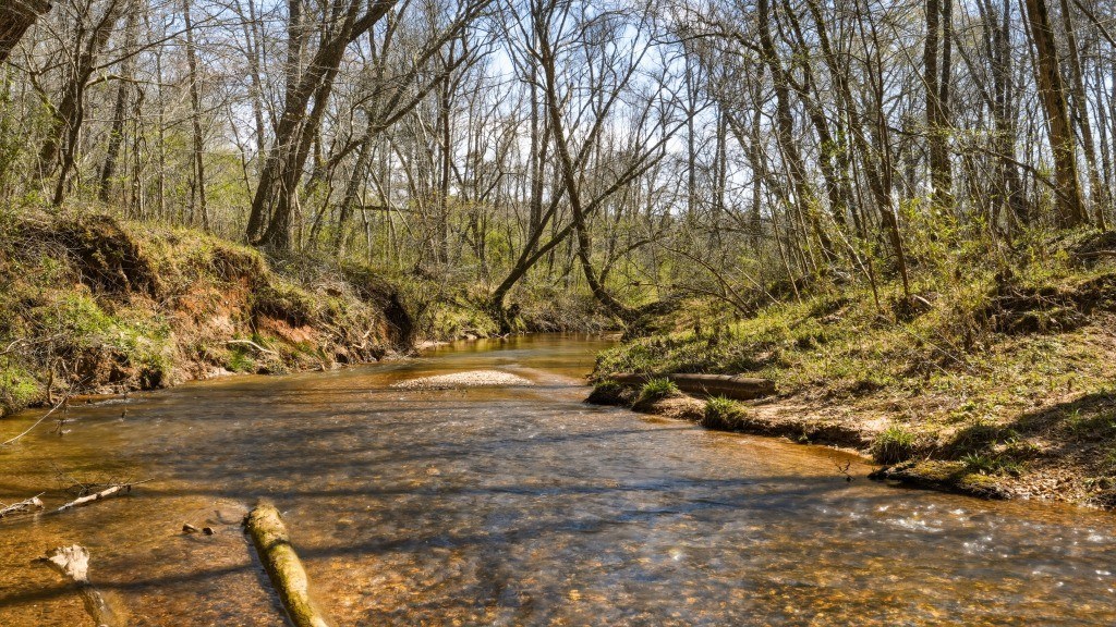 Etowah River Homeplace Photo