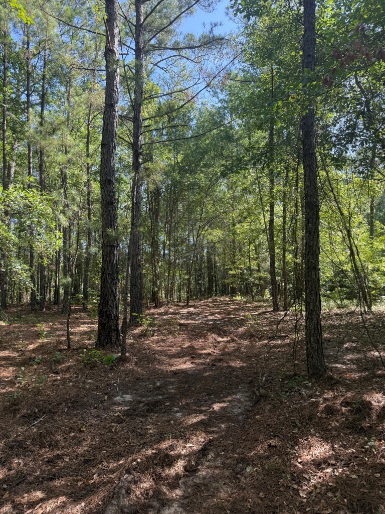 Sassertown Road Retreat Photo
