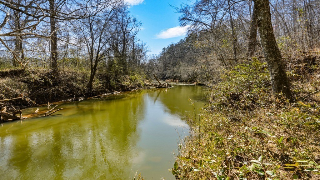 Etowah River & Yellow Creek Farm Photo