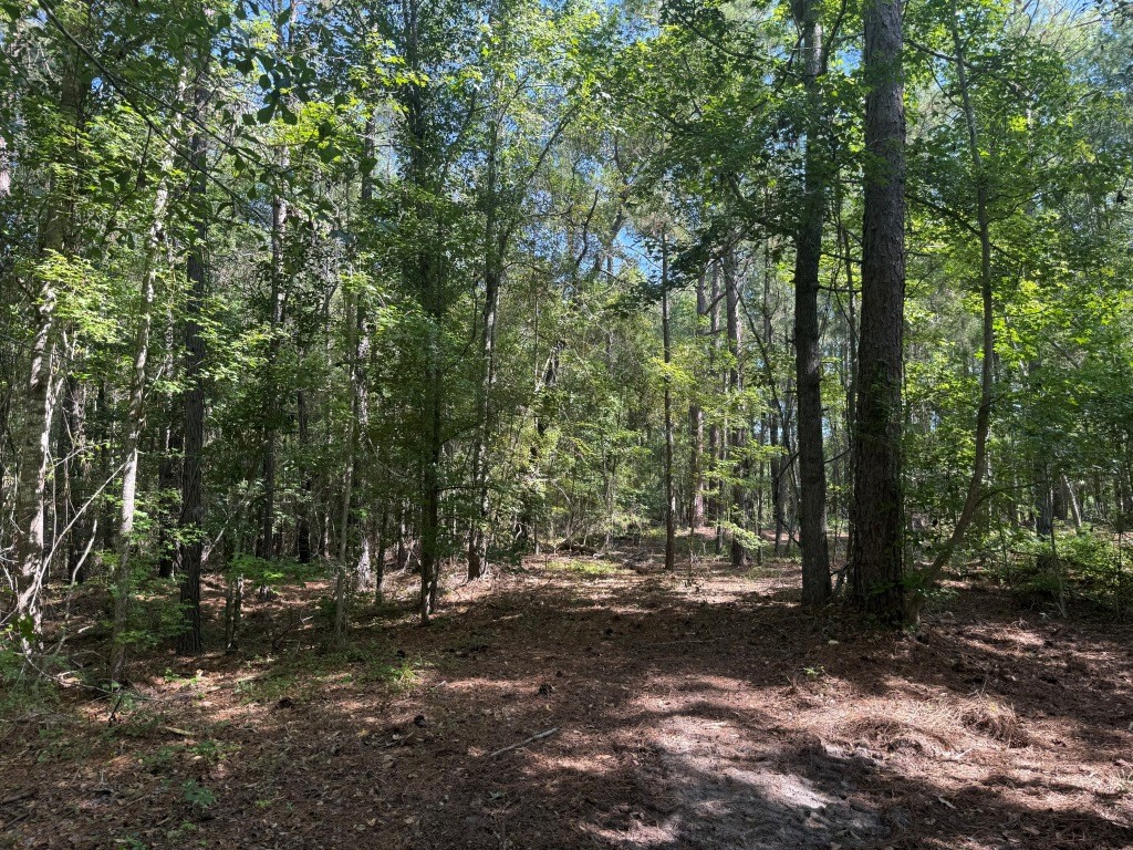 Sassertown Road Retreat Photo
