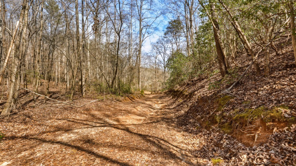 Etowah River & Yellow Creek Farm Photo