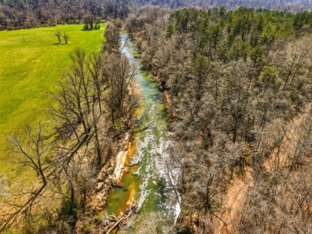 Etowah River & Yellow Creek Farm Photo