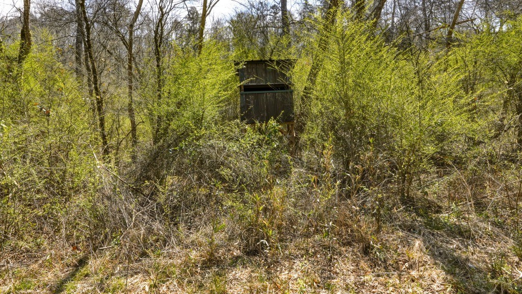 Etowah River Homeplace Photo