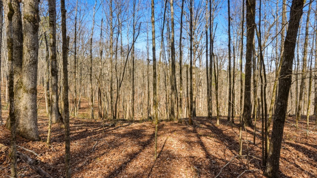 Etowah River & Yellow Creek Farm Photo