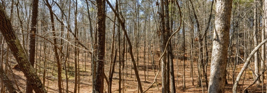 Etowah River Homeplace Main Photo