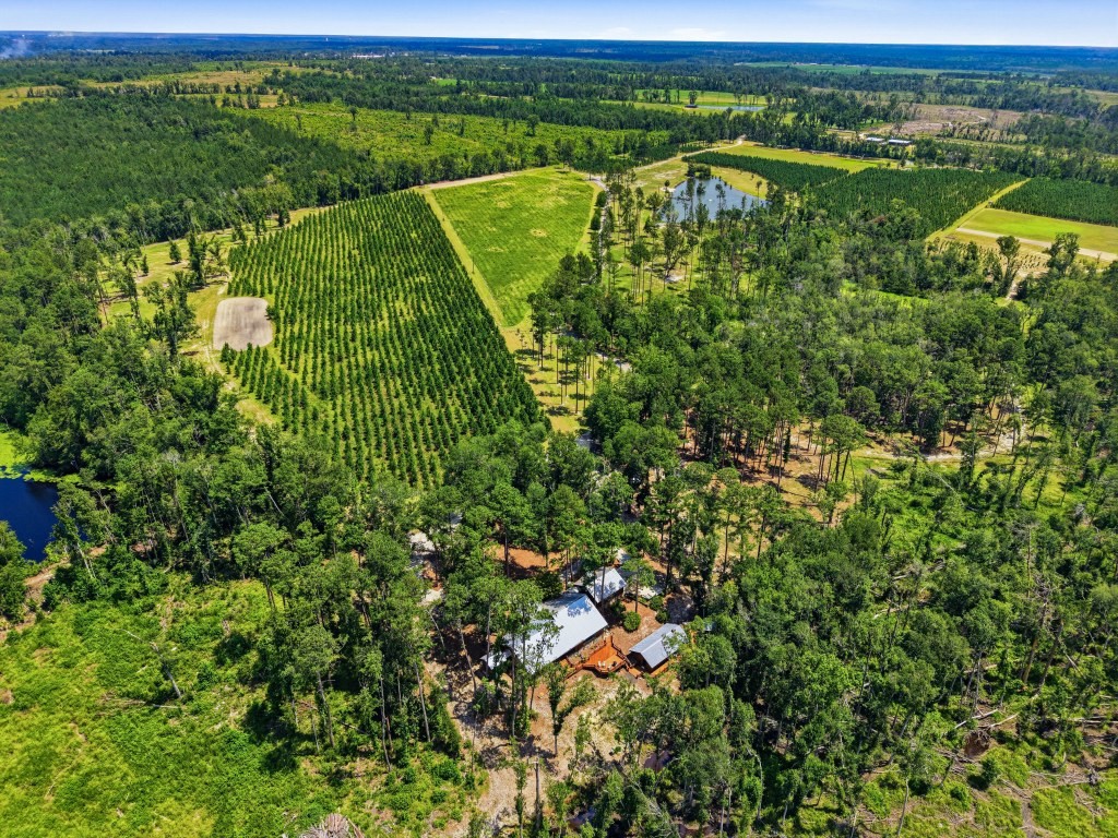 Lotts Creek Lodge Photo