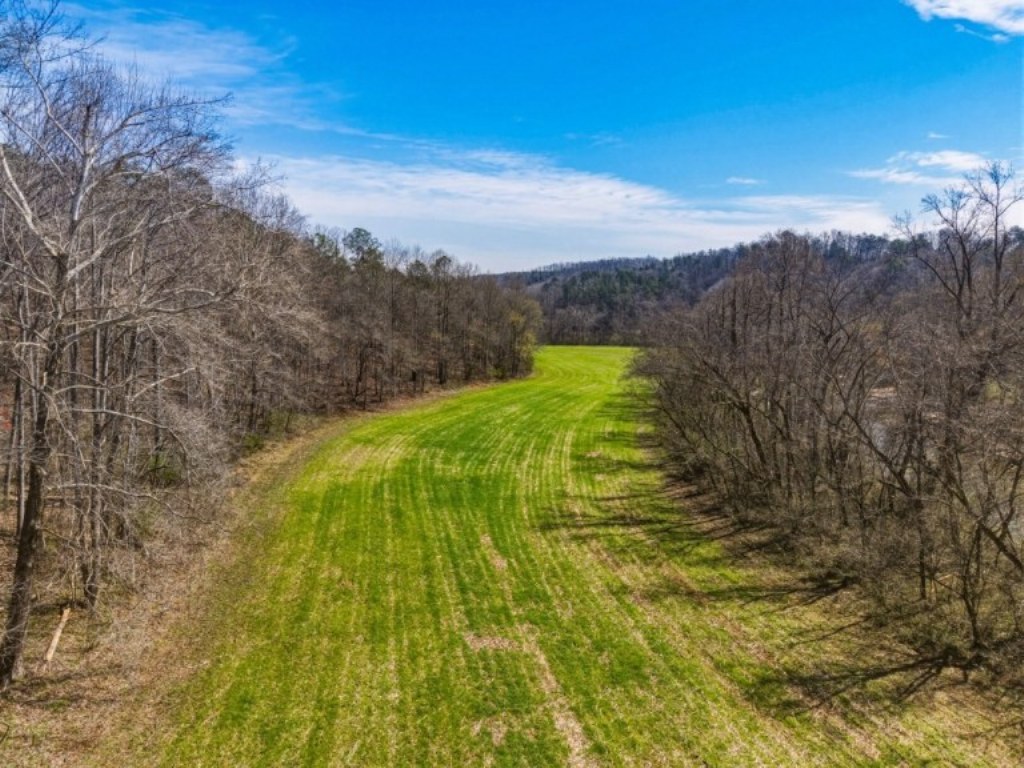 Etowah River Homeplace Photo