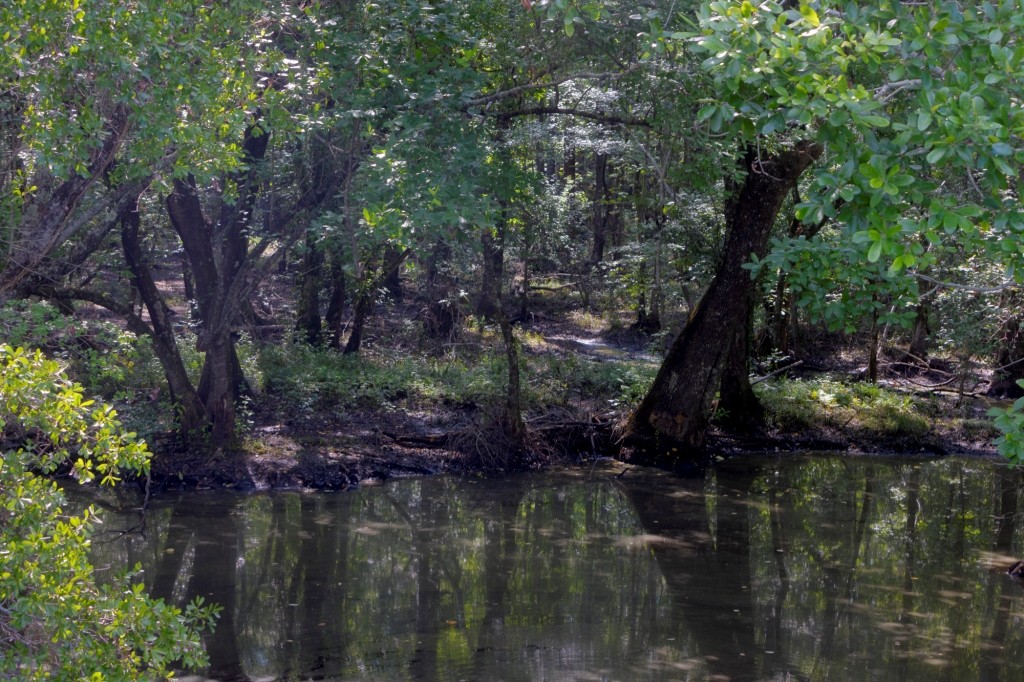 Richardson Creek Homeplace Photo