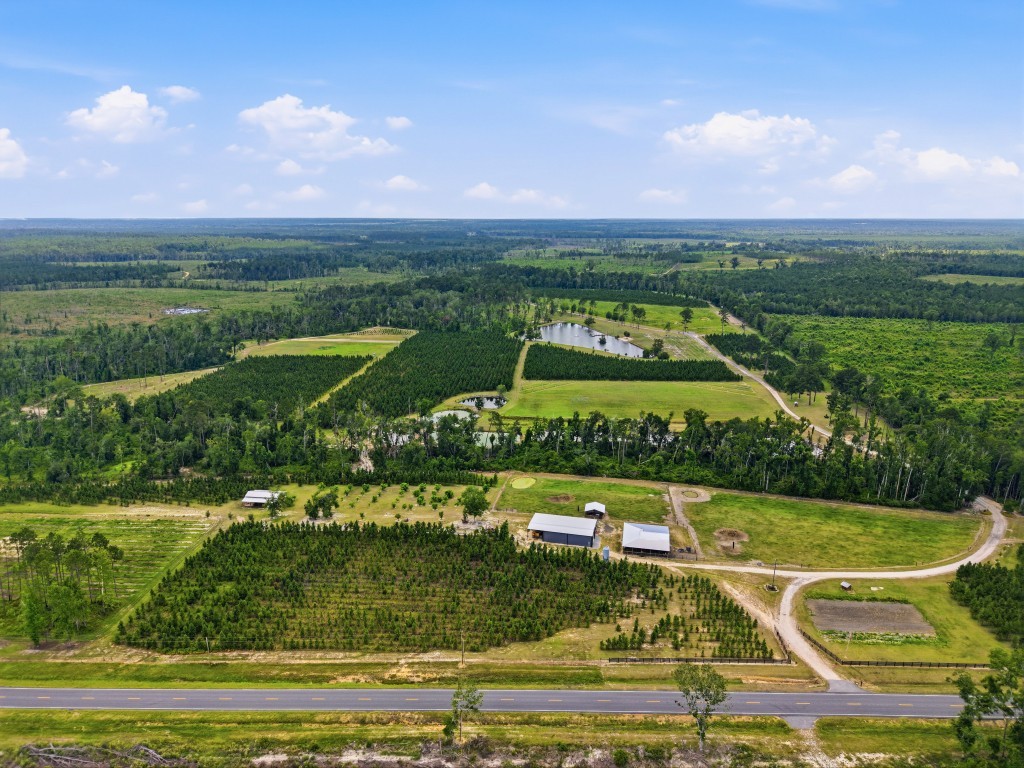 Lotts Creek Lodge Photo