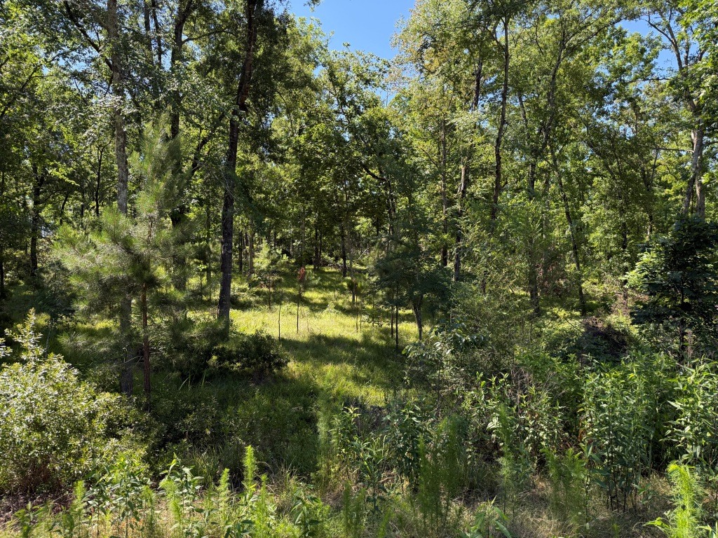 Augusta Hwy Retreat Photo